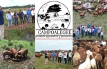 Durante la cuarentena, Escuela del Agro ha convocado a los mejores expertos nacionales para aleccionar sobre diferentes temas del sector agropecuario. Foto: Cortesía Ganadería regenerativa 2020, ganaderia regenerativa youtube, ganaderia regenerativa feliz, ganaderia regenerativa en argentina, ganaderia regenerativa eficiente, curso ganaderia regenerativa, ganaderia regenerativa en mexico, ganaderia regenerativa libros, pastoreo regenerativo, periódico El agro, éxito en ganadería, eventos periódico El Agro, eventos Escuela del Agro, Escuela del Agro Colombia, permacultura, ganadería permacultura, ganado bovino, ganadería bovina, Ganadería, ganadería colombia, noticias ga