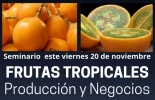 Con este nuevo seminario, usted podrá aprender sobre el cultivo y la comercialización de frutas que se dan en regiones de clima cálido de nuestro país. Foto: Cortesía Frutas exportación Colombia, mango, maracuyá, lulo, granadilla, frutas tropicales, frutas tropicales Colombia, frutas de exportación, frutas colombianas de exportación, seminario frutas para exportación, Escuela del Agro, periódico El agro, eventos periódico El Agro, eventos Escuela del Agro, Escuela del Agro Colombia, capacitación virtual, ganado bovino, Ganadería, ganadería colombia, noticias ganaderas, noticias ganaderas colombia, CONtexto ganadero, contextoganadero