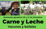 El seminario se realizará en la mañana de este jueves y viernes con la participación de ocho expertos nacionales y dos internacionales. Foto: Cortesía Seminario ganadero Carne y leche en bovinos y búfalos, producción de carne bovina, producción de leche bovina, bovinos, Búfalos, seminario ganadería, seminario ganadero diciembre 2020, seminario ganadero 2020, periódico El agro, éxito en ganadería, eventos periódico El Agro, eventos Escuela del Agro, Escuela del Agro Colombia, ganaderos, ganaderos colombia, ganado, ganado bovino, Ganadería, ganadería colombia, noticias ganaderas, noticias ganaderas colombia, CONtexto ganadero, contextoganadero
