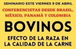 Este nuevo evento virtual de la Escuela del Agro y Periódico El Agro estarán expertos nacionales e internacionales. Foto: Escuela del Agro Evento calidad carne 9 de abril, periódico El agro, éxito en ganadería, eventos periódico El Agro, eventos Escuela del Agro, Escuela del Agro Colombia, Bienestar Animal, carne, canal, manejo, beneficio, insensibilizados, sacrificio, degüello, maduración, Hematomas, fracturas, decomiso, capacitación, supervisión, visión panorámica, ganaderos, ganaderos colombia, ganado, vacas, vacas Colombia, bovinos, ganado bovino, Ganadería, ganadería colombia, noticias ganaderas, noticias ganaderas colombia, CONtexto gana