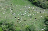 Esta es una de las fincas que trabaja con ganadería regenerativa y que usted podrá conocer haciendo parte de esta gira. Foto: Cortesía Gira ganadería regenerativa, gira ganadera, gira ganadera 2021, gira ganadera Colombia, gira ganadera Meta, ganadería regenerativa, ganadería regenerativa 2021, ganadería regenerativa Colombia, gira Meta 2021, gira junio 2021, ganado bovino, ganadería bovina, ganaderos, ganaderos colombia, ganado, vacas, vacas Colombia, bovinos, Ganadería, ganadería colombia, noticias ganaderas, noticias ganaderas colombia, CONtexto ganadero, contextoganadero