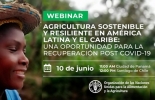 El lanzamiento oficial de este nuevo documento se hará en un seminario virtual (webinar), el día 10 de junio de 2021, 11:00 AM, Foto: FAO Agricultura sostenible, FAO, América Latina y el Caribe, 7 trayectorias de transformación exitosas, seminario virtual agricultura sostenible FAO, COVID-19, la peor recesión en un siglo en América Latina y el Caribe, desafíos para el sector agrícola, objetivos del milenio, vacas, vacas Colombia, lechería, bovinos, ganadería bovina, ganadería bovina Colombia, noticias ganaderas, noticias ganaderas Colombia, contextoganadero