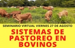 La capacitación se transmitirá de forma virtual, de manera que usted puede asistir sin trasladarse de su casa, oficina o finca. Foto: Cortesía sistemas de pastoreo, sistemas de pastoreo en ganadería, sistemas de pastoreo en ganadería sostenible, alimentación bovina, Escuela del Agro, seminario agosto 2021, PRV, Voisin, alterno, continuo, pastoreo rotacional, regenerativo, ganado bovino, ganadería bovina, carne, leche, ganaderos, ganaderos colombia, ganado, vacas, vacas Colombia, bovinos, Ganadería, ganadería colombia, noticias ganaderas, noticias ganaderas colombia, CONtexto ganadero, contextoganadero