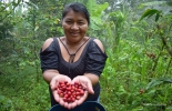 La agroecología, al impulsar la variedad de cultivos, la estacionalidad, y la producción, también contribuye en la presencia de polinizadores, los cuales benefician al 35 % de las tierras agrícolas mundiales. Foto FAO. FAO, agroecología, curso gratuito sobre agroecología, Capacitación para América Latina y el Caribe, cambio climático, Solución frente al cambio climático, vacas, vacas Colombia, lechería, bovinos, ganadería bovina, ganadería bovina Colombia, noticias ganaderas, noticias ganaderas Colombia, contextoganadero