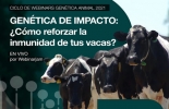 En la cita de este jueves 25 de noviembre, Innovagro invitó a un experto en genómica para hablar sobre la relación entre genética e inmunidad en el ganado. Foto: innovaragro.com Inmunidad en vacas, genética de impacto, reforzar inmunidad en vacas, Webinar Innovagro, capacitación virtual, capacitaciones en ganadería, cursos ganaderos, producción leche Argentina, ganadería de leche Argentina, tecnología ganadería, genética inmunidad vacas, tecnología en lechería, ganado bovino, ganadería bovina, carne, leche, ganaderos, ganaderos colombia, ganado, vacas, vacas Colombia, bovinos, Ganadería, ganadería colombia, noticias ganaderas, noticias ganaderas colombia, CONtexto ganadero, context
