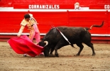 Andrés Manrique con el 1°. Foto: Camilo Díaz Toros, toros de lidia, Manizales, Manrique despilfarra el triunfo, 67 feria en La Monumental, Andrés Manrique, Gitanillo de América II, Anderson Sánchez,