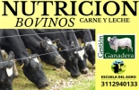 Asista a este seminario de manera virtual y aprenda cómo hacer mezclas para alimentar a sus animales con los insumos que tiene en su región. Foto: Cortesía Seminario nutrición en bovinos de carne y leche, Nutrición en bovinos, seminario nutrición bovinos, congreso nutrición bovinos 2022, congreso nutrición y alimentación bovinos carne y leche, Eventos ganaderos enero 2022, ganado bovino, ganadería bovina, carne, leche, ganaderos, ganaderos colombia, ganado, vacas, vacas Colombia, bovinos, Ganadería, ganadería colombia, noticias ganaderas, noticias ganaderas colombia, CONtexto ganadero, contextoganadero