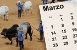 Los ganaderos y demás interesados pueden asistir a estos eventos cumpliendo con las medidas sanitarias. Foto: m.vanguardia.com - calendarpedia.com Eventos ganaderos marzo 2022, Eventos ganaderos 2022, remates de ganado 2022, Ferias Ganaderas, ferias ganaderas colombia, subastas, eventos marzo 2022, Eventos ganaderos, 74 feria nacional cebu, ExpoArjona 2022, ganado bovino, ganadería bovina, carne, leche, ganaderos, ganaderos colombia, ganado, vacas, vacas Colombia, bovinos, Ganadería, ganadería colombia, noticias ganaderas, noticias ganaderas colombia, CONtexto ganadero, contextoganadero