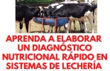 Aprenda sobre diagnóstico nutricional y sus efectos sobre la producción y reproducción en el hato de la mano del profesor Abelardo Conde. Foto: Escuela del Agro Seminario diagnostico nutricional lecheria