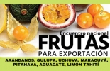 El Primer Encuentro Nacional de Frutas para Exportación se realizará en Paipa (Boyacá) este jueves 5 y viernes 6 de mayo. Foto: Cortesía encuentro frutas para exportación Colombia