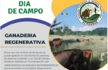Los asistentes conocerán sobre 5 temas: ¿Qué es la Biocenosis?, Silvopastoreo:, Selección por biotipo, Riesgos y ventajas y Sistemas Sintropicos. Foto: Cortesia ganadería regenerativa