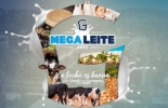 En Megaleite 2022 de Brasil, harán presencia las principales razas lecheras del coloso del sur. Foto: Cortesía. Megaleite 2022 Brasil