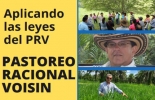 Aprenda sobre pastoreo racional Voisin (PRV) en el próximo evento organizado por Escuela del Agro que se llevará a cabo los días 25 y 26 de mayo. Foto: Cortesía seminario pastoreo racional voisin en mayo de 2022