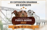 En el encuentro participarán más de 500 ejemplares bovinos, de los cuales 206 corresponden a ejemplares de brahman rojo, 169 a ejemplares de brahman gris y 129 de gyr. Foto: instagram.com/coreganpuertoberrio Exposición brahman y gyr de puerto berrio en 2022