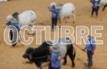 Entre los eventos más destacados del sector en octubre estarán Expo Agrofuturo y las ferias ganaderas de ExpoCundinamarca y ExpoCaquetá. Foto: m.vanguardia.com eventos ganaderos octubre 2022