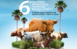 En noviembre se llevará a cabo el 6º Seminario, exhibición y remate de bovinos criollos, junto con la 1ª Feria gastronómica de carne criolla en San Martín (Meta). La programación incluye conferencias dictadas por expertos en producción con razas bovinas criollas, exhibición de ejemplares y remate de ganados. Foto: Asocriollanos 6 seminario de bovinos criollos