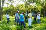 El evento se realizará dentro del marco del programa ‘Bancos mixtos de forraje’. Foto: Fedegán. Día de campo Fedegán