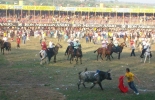 En 2013, 8.000 espectadores recibirán las corralejas en las graderías. Foto: Archivo particular. Corralejas en Sincelejo.jpg