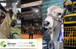 Agroexpo 2021, programación, conferencias, vacas, vacas Colombia, lechería, bovinos, ganadería bovina, ganadería bovina Colombia, noticias ganaderas, noticias ganaderas Colombia, contextoganadero
