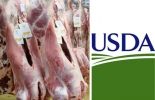 USDA 2022, exportaciones carne 2022, exportaciones de carne bovina, comercio mundial de carne, exportaciones, China, Brasil, argentina, Australia, carne vacuna, cerdo, pollo, COVID-19, demanda, Alimentos, ganado bovino, ganadería bovina, carne, leche, ganaderos, ganaderos colombia, ganado, vacas, vacas Colombia, bovinos, Ganadería, ganadería colombia, noticias ganaderas, noticias ganaderas colombia, CONtexto ganadero, contextoganadero