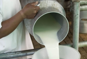 El Gobierno aseguró que la inversión se hará efectiva en lo que resta de 2013.. Foto: MinAgricultura. Producción leche Colombia.