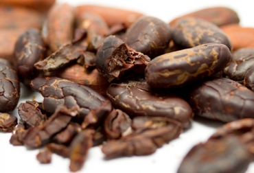 Las evaluación de las muestras será en octubre, durante la realización del Salón del Chocolate de París. Foto: www.atable.pl. mundial de Cacao parís