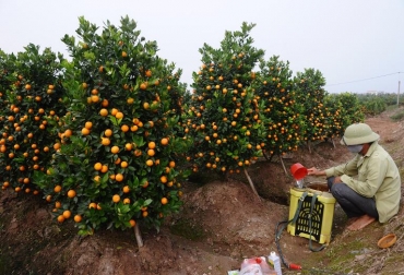 Agricultura Contaminación De Cursos De Agua Con Insecticidas Está Agricultura Contaminación De Cursos De Agua Con Insecticidas Está