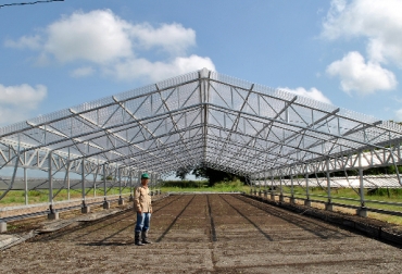 Con este sistema también se podrán seleccionar las variedades resistentes a la sequía. Foto: CIAT. INVERNADERO MÓVIL CIAT PALMIRA