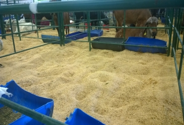 Cerca 1.200 toneladas de concentrado y silo y 10 mil pacas de heno se utilizan para la comida de los vacunos. Foto: Cortesía. Agroexpo 2015