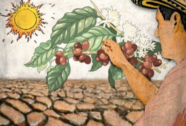 En la carta, las directivas pusieron en consideración del MinAgricultura 4 medidas para mitigar los efectos de la sequía. Foto: CONtexto ganadero. afectaciones sequía cafeteros