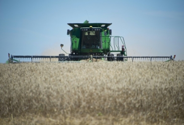 Un hombre recorre un campo de trigo con una cosechadora, el 4 de diciembre de 2014 en Mercedes, Departamento de Soriano (Uruguay. Foto: AFP. precios agro fao