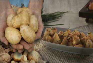 Si usted quiere conocer más acerca de este producto, ingrese a la página www.lapapatienelosuyo.com. Foto: CONtexto ganadero. Papa en Colombia