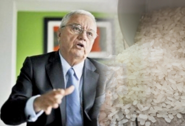 Fedearroz prevé que al finalizar el año se cosechen 400 mil toneladas del grano. Foto: Fedearroz – CONtexto ganadero. Rafael Hernández Lozano, gerente general de Fedearroz