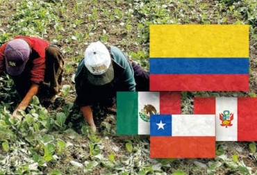 Al compararnos con el sector agropecuario de la región superamos el crecimiento de México (3,8 %), Perú (3,2), Chile 0,8 %, y Brasil (-0.2)”, dijo el ministro. Foto: CONtexto ganadero. competitividad sector agropecuario campo colombia