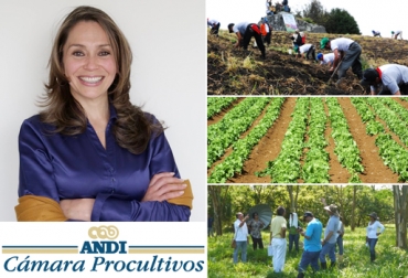 En 2016, la entidad trabajará en el desarrollo de un programa de encadenamiento agroindustrial. Foto: CONtexto ganadero. María Helena Latorre Castañeda, directora ejecutiva de la Cámara de Procultivos de la Andi