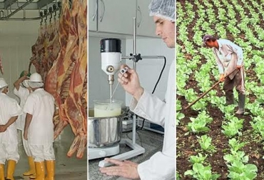 Carne, leche y agro en general se han visto perjudicados por los plazos del Ministerio de Agricultura y Desarrollo Rural. Foto: CONtexto ganadero. prórroga decreto 1500, laboratorios calidad leche colombia, plan colombia siembra
