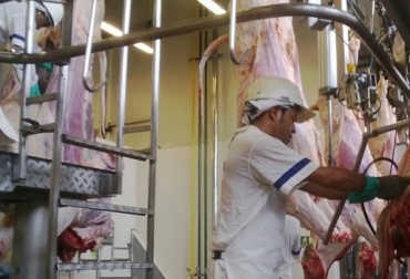 Con este Decreto, el Ministerio de Agricultura le apunta a la modernización de los frigoríficos del país. Foto: CONtexto Ganadero. Planta de Sacrificio Colombia