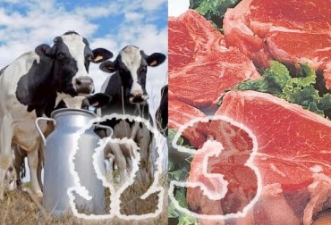 Los omega-3 ayudan a reducir las enfermedades cardiovasculares, mejoran el desarrollo neurológico y el sistema inmunitario. Foto: CONtexto ganadero. leche y la carne omega 3