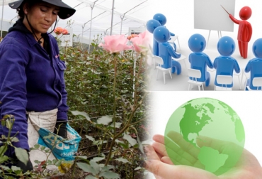 Entre las razones están la presencia de multinacionales en áreas rurales y la falta de educación. Foto: CONtexto ganadero. Empleo floricultura Colombia