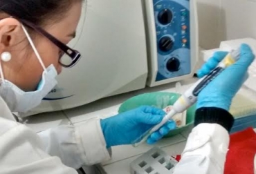 La siguiente fase de la investigación introducirá una variedad de peces, para identificar la estrogenecidad que genera el agua usada por la actividad petrolera. Foto: Unillanos. Microalgas, algas para descontaminar fuentes hídricas