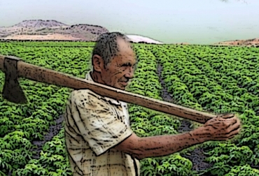 Si usted está interesado en hacer parte de esta iniciativa, comuníquese al teléfono (57 1) 326 85 00 extensión: 2239. Foto: CONtexto ganadero. Andragogía Cámara de Procultivos de la Andi