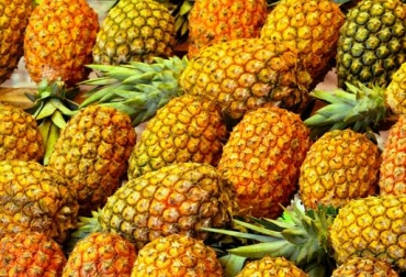 Las frutas y verduras, hacen parte de uno de los 5 productos priorizados en el plan Colombia Siembra. Foto: CONtexto ganadero. piña golden colombia noticias cifras