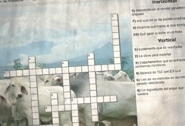 Tómese 5 minutos de su tiempo para completar este nuevo reto que hoy le presenta CONtexto ganadero. Foto: CONtexto ganadero. crucigrama agropecuario, crucigrama ganadería, juegos para ganaderos, juegos vacas, ganadería juegos, contexto ganadero