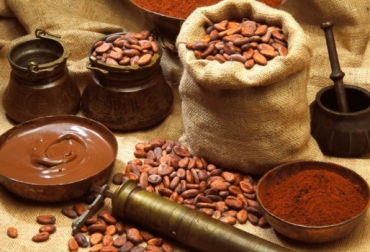 Un grupo de cacaoteros ha recolectado más de 500 composiciones de aromas y sabores únicos de cacao. Foto; Cortesía. precios café colombia, expo expeciales colombia, expoespeciales fnc, CONtexto ganadero