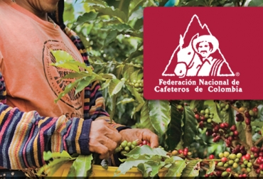 Se tienen previstos 3 reconocimientos económicos para los ganadores. Foto: http://paisajeculturalcafetero.org.co cosecha asistida cafe, cosecha asistida cafe colombia, convocatoria cosecha asistida cafe, cosecha asistida cafe noticias colombia, fnc cosecha asistida cafe, CONtexto ganadero