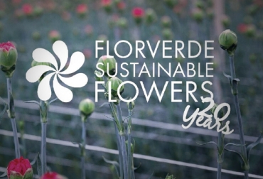 Los floricultores que han participado en Florverde durante estos años han incorporado las buenas prácticas sociolaborales. Foto: Cortesía. flores colombia, flores asocolflores colombia, cifras flores colombia, solano flores colombia, CONtexto ganadero