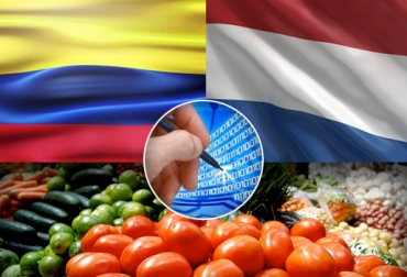 Holanda exporta a Colombia principalmente material vegetal de propagación. Foto: CONtexto ganadero. Holanda colombia ica comercio electrónico, Holanda colombia ica comercio electrónico fechas, programa Holanda colombia ica comercio electrónico, Holanda colombia ica comercio electrónico noticias, CONtexto ganadero