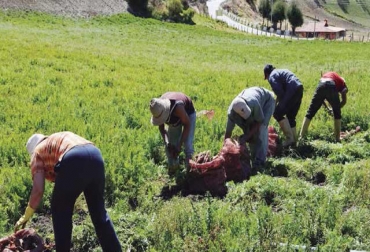 Los agricultores y sus asociaciones han adquirido nuevos conocimientos financieros. Foto: Alide. Acceso al crédito, Acceso al crédito colombia, Acceso al crédito en el campo, agropecuario Acceso al crédito, contexto ganadero