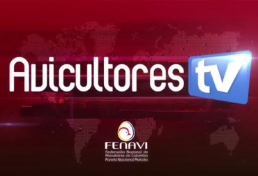 A través del canal, el gremio tendrá mayor contacto con los productores. Foto: Cortesía. Fenavi, fenavi colombia, avicultores, avicultores colombia, producción avícola colombia, canal youtube, canal youtube fenavi, sector avícola, cría de aves, contexto ganadero, ganadería colombia