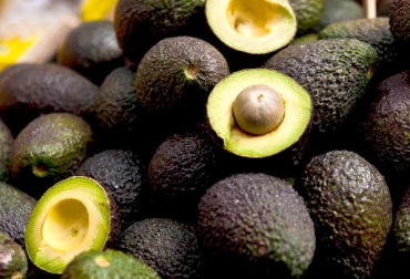 Las condiciones climáticas del país permiten que haya cultivo de aguacate a lo largo del año. Foto: El Pilón. aguacate, aguacate hass, aguacate hass en colombia, producción de aguacate hass en colombia, aguacate hass en EEUU, exportación de aguacate hass a EEUU, contexto ganadero, ganadería colombia,